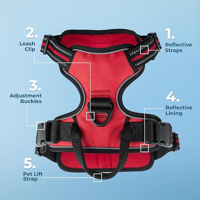 Voyager Dog Harness Dual Leash Attachment No-Pull Control Adjustable Soft but Strong Pet Harness for Medium and Large Dogs with 3M Reflective Technology, Red Lattice Nylon, XS (Chest: 13-16")