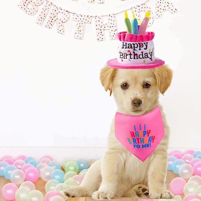 Puppy and Cat Happy Birthday Cake Hat & Bandana Scarfs Set with Colorful Candles Pink for Small Animas, Cat Birthday Party Supplies Decorations