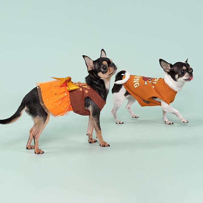 Fitwarm Thanksgiving Fall in Love Dog Dress, Sparkly Dog Clothes for Small Dogs Girl, Holiday Pet Tutu Dress, Cat Outfit, Brown, Orange, XXS