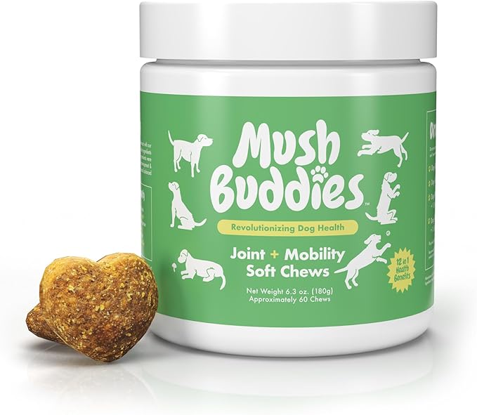 Hip and Joint Supplement for Dogs - Glucosamine for Dogs Plus Chondroitin - Dog Joint Supplement, Vitamins with Collagen, Green Lipped Mussels, Functional Mushrooms, Turmeric, MSM, Salmon Oil - 60 Ct