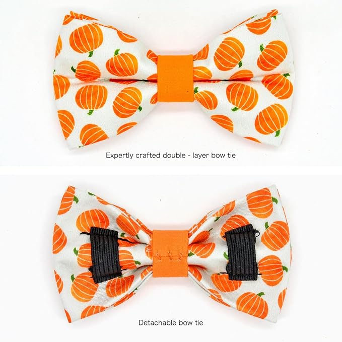 Pumpkin Cat Collar Bow Set, Halloween Accessory, Wedding/Birthday Breakaway Collar Bowtie for Kitten