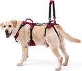 Dog Lifting Harness for Medium Dogs, Dual Handle Dog Support Harness for Daily Walking Assistance, Male Dog-Friendly, Breathable & Easy On Mobility Aid, Red, M
