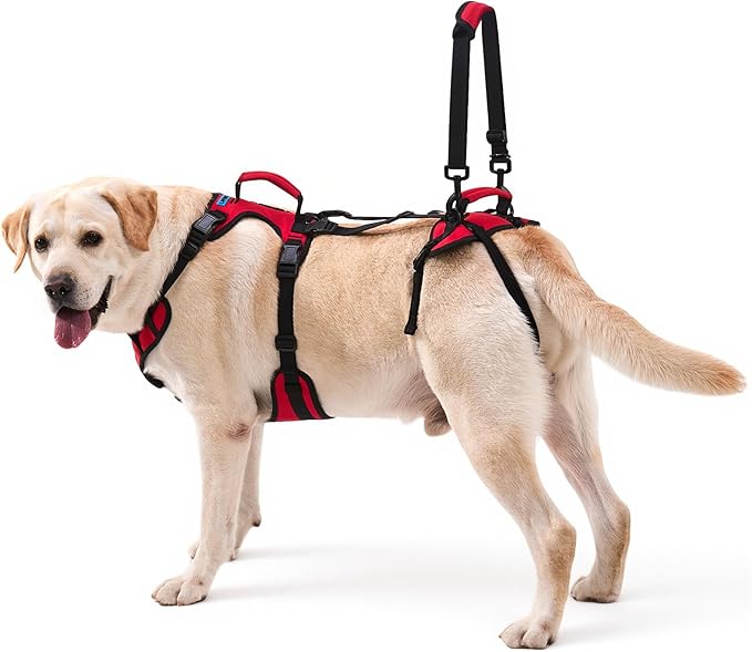 Dog Lift Harness for Large Dogs, Full-Body Support Dog Harness for Stairs & Hind Leg Weakness, Senior Dog Walking Assist, Male Dog-Friendly & Comfortable, Red, L