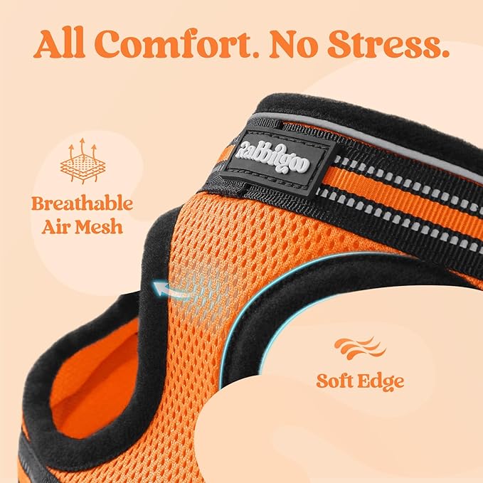 rabbitgoo Cat Harness and Leash Set for Walking Escape Proof, Adjustable Soft Kittens Vest with Reflective Strip for Cats, Comfortable Outdoor Vest,Light Orange,L