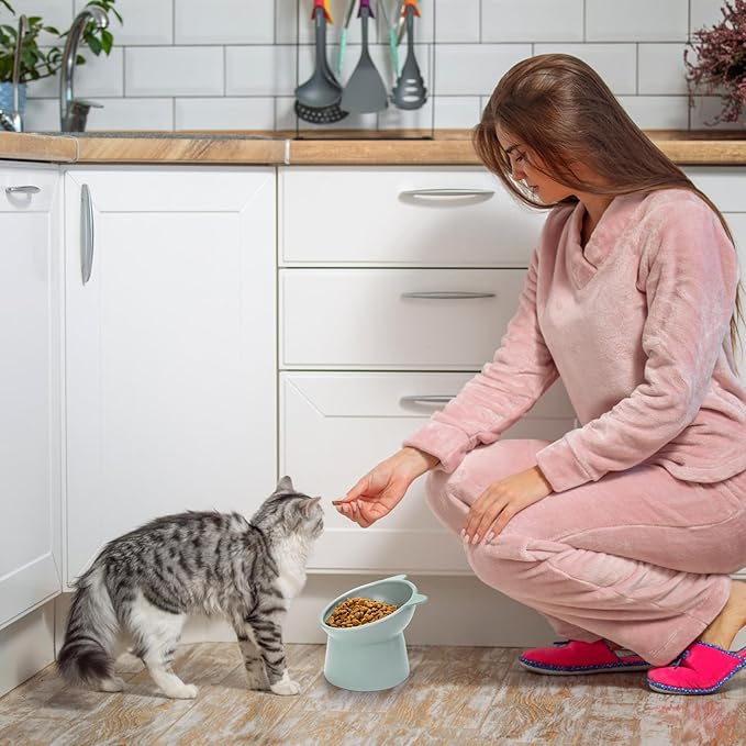6 Pack Raised Cat Bowls for Indoor Cats, Plastic Elevated Cat Bowls Dishes, 15 Degrees Tilted Cat Food Bowls, Anti-Vomiting and Whisker Friendly, 3 Colors