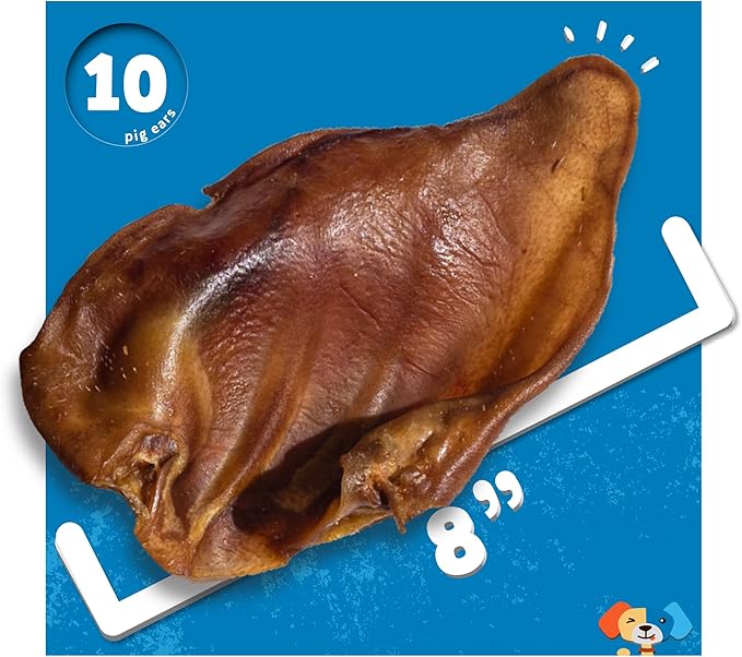 Jack&Pup Whole Pig Ears for Dogs - All Natural Single Ingredient Extra Thick Large Pigs Ears - Premium Dog Pig Ear Treats - Natural Dog Pork Chews; Excellent Rawhide Alternative (10 Pack)