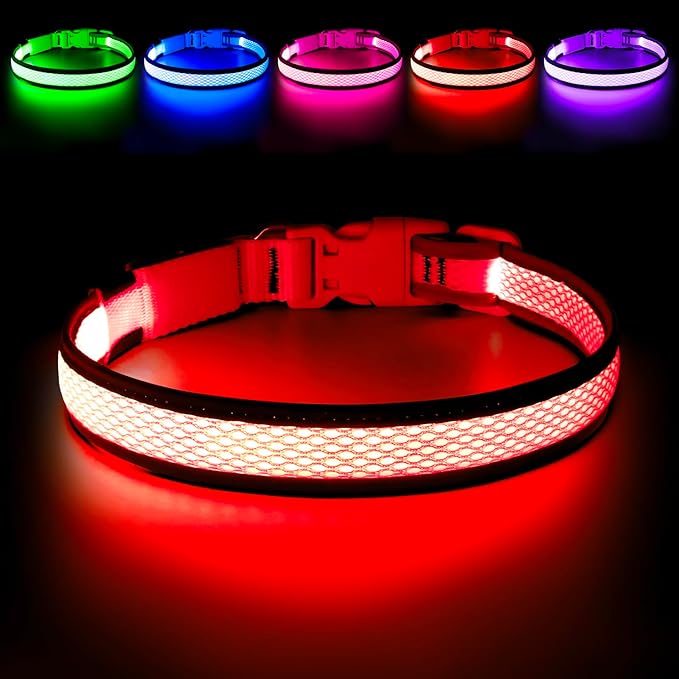 Flashseen LED Dog Collar, Light Up Dog Collar USB Rechargeable, Brightest Dog Lights for Night Walking, Adjustable Dog Collar Light for Dog Safety (Red, Medium)