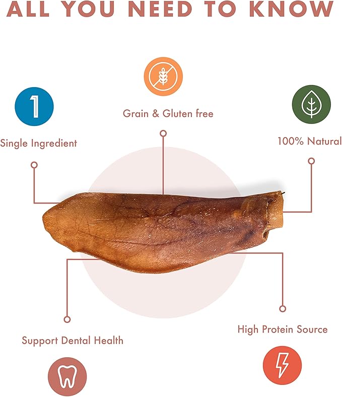 Pig Ears for Dogs (9 Count) - Long Lasting Chews for Aggressive chewers - No Hide Healthy Treat - Teeth Cleaning Treat - All Natural No Rawhide - for Small, Medium and Large Breeds