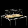 GuineaLoft™ Acrylic Cage (Model-P3B) - Small 2x1 ft Enclosed w/Lid & Bottom for Hamsters, Rats, Mice, Gerbils, Also Works for a Single Guinea Pig, or as a Transport Cage