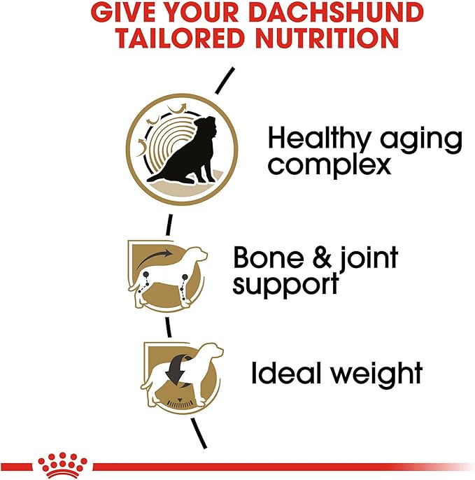 Royal Canin Breed Health Nutrition Dachshund 8+ Senior Dry Dog Food, 3 lb Bag