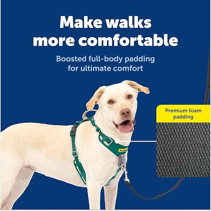 PetSafe Easy Walk Comfort No-Pull Dog Harness Full-Body Padding - Better Walks on the First Use - 5 Points of Adjustment Large, Green