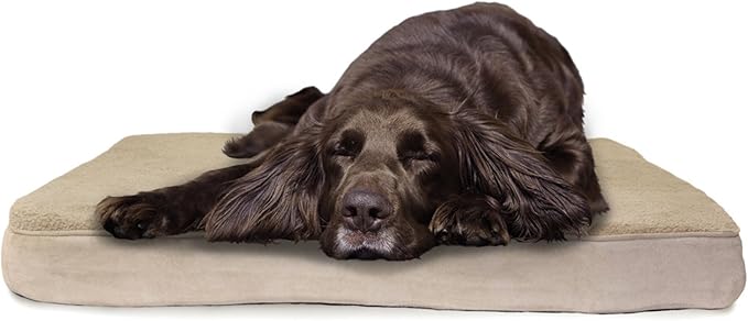 Furhaven Memory Foam Dog Bed for Large/Medium Dogs w/ Removable Washable Cover, For Dogs Up to 55 lbs - Terry & Suede Mattress - Espresso, Large
