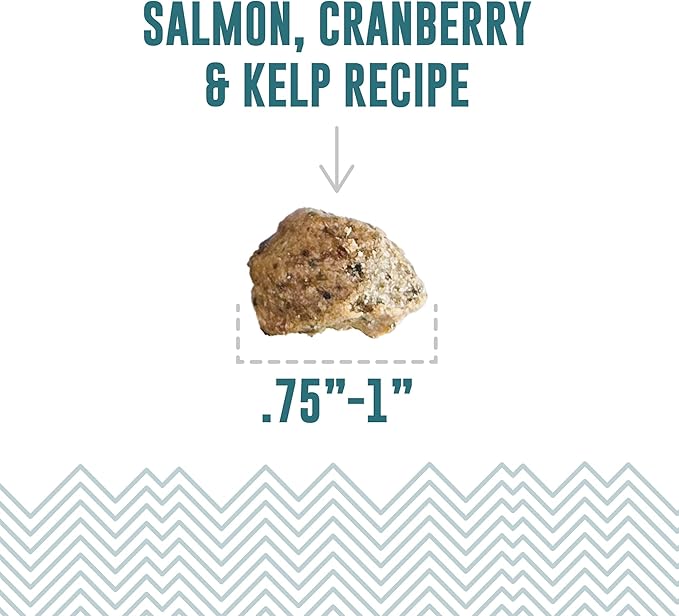 Icelandic+ Soft & Chewy Bites - Salmon, Cranberry & Kelp - 2.8oz Dog Treats, 70% Meat & Fruit, Air-Dried, Limited Ingredients, Pet Snack, Grain Free
