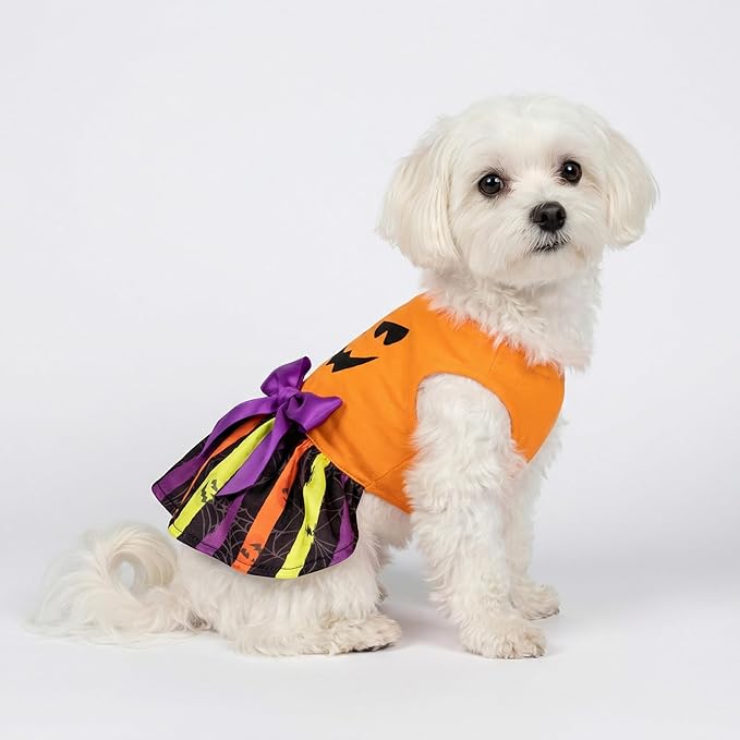 Fitwarm Halloween Pumpkin Dog Dress, Funny Dog Halloween Costumes, Doggy Clothes for Small Dogs Girl, Pet Apparel, Orange, Black, Purple, XS