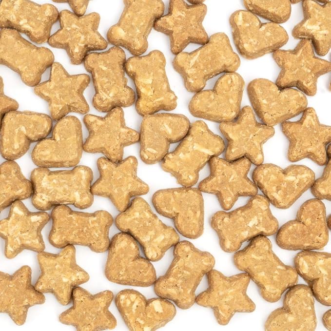 CocoTherapy Pumpkin Pie Coco-Charms Dog Training Treats, 5 Ounces Each, Supports Digestive Health, Made in The USA