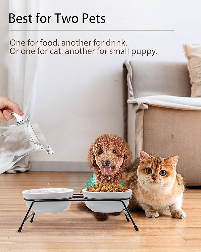 Anti-Vomiting Raised Cat Bowls - 2 × 13 oz Ceramic Cat Food & Water Bowls with Non-Slip Stainless Steel Stand, Dishwasher Safe for Indoor Cats