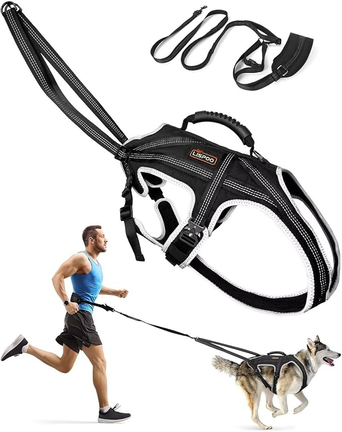 Dog Pulling Harness Set with Waist Belt & Shock-Absorbing Leash, Adjustable Sled Harness for Running, Hiking & Biking, Medium Large Dogs- L Size