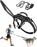Dog Pulling Harness Set with Waist Belt & Shock-Absorbing Leash, Adjustable Sled Harness for Running, Hiking & Biking, Medium Large Dogs- L Size