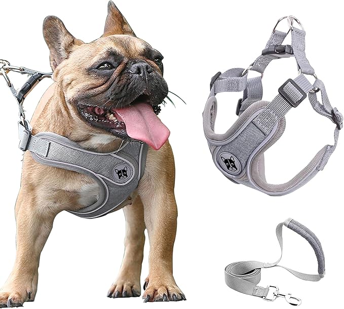 Dog Frenchie Harness and Leash Set,No Pull Adjustable Step in Soft Mesh Vest Harness,Easy Walk Reflective Pet Harness with Padded Handle for Walking Training Small Medium Large Dogs and Cats (Grey, M)