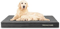 The Dog’s Bed Orthopedic Memory Foam Dog Bed for XL Dogs, Waterproof Washable Cover, Anti-Slip Base, Calming Surface – CertiPUR-Certified Foam, Grey Plush, 4 Inch Thick