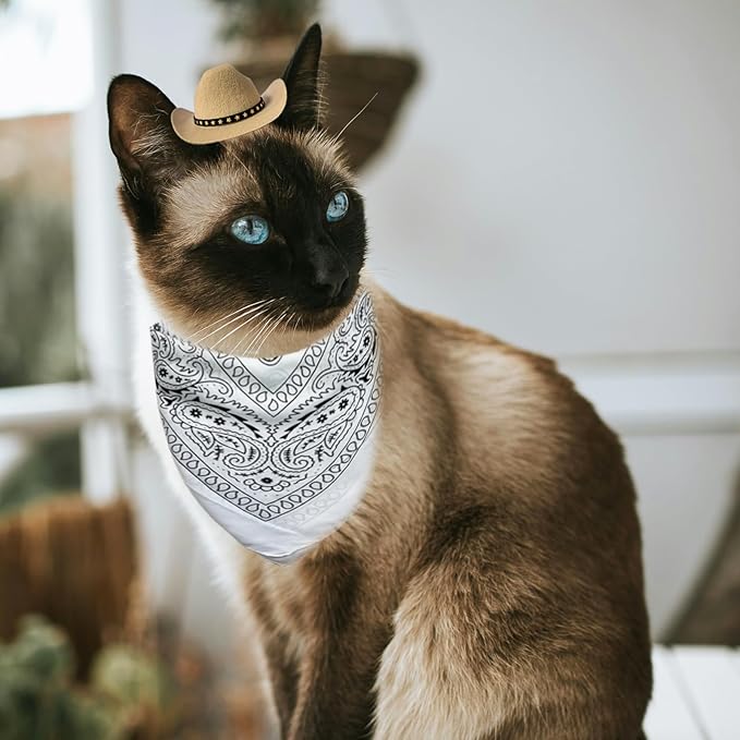 Dog Cowboy Hat Cat Cowboy Hat Mini Cowboy Hat for Dogs Cat Pet Cowboy Costume with Bandana Scarf Holiday Halloween Pet Party Decoration (Khaki, Small)