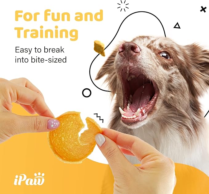 iPaw 3 Combo Turkey Chips Dog Treats for Puppy Training, All Natural Human Grade Dog Treat, Hypoallergenic, Easy to Digest (Turkey Chips), 3 Packs