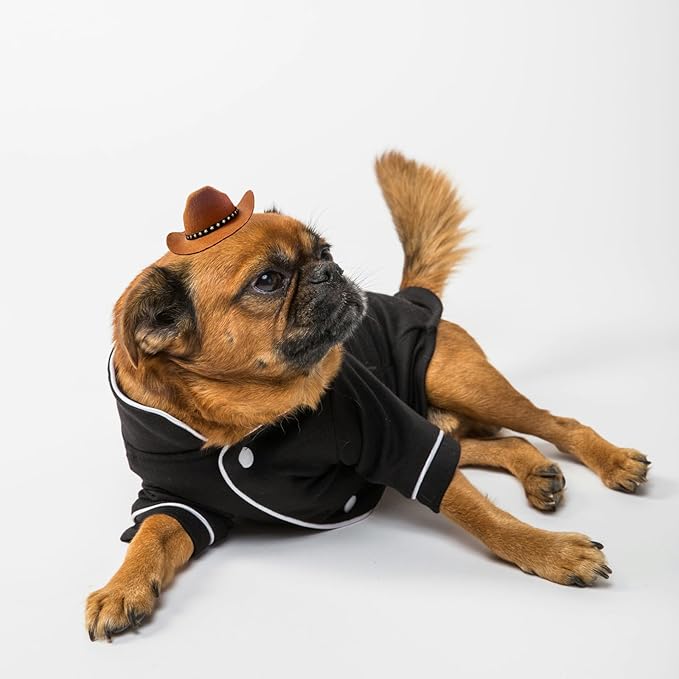 Dog and Cat Cowboy Hat with Bandana Scarf - Mini Pet Costume for Halloween, Holiday, Party Decoration (Brown, Small)