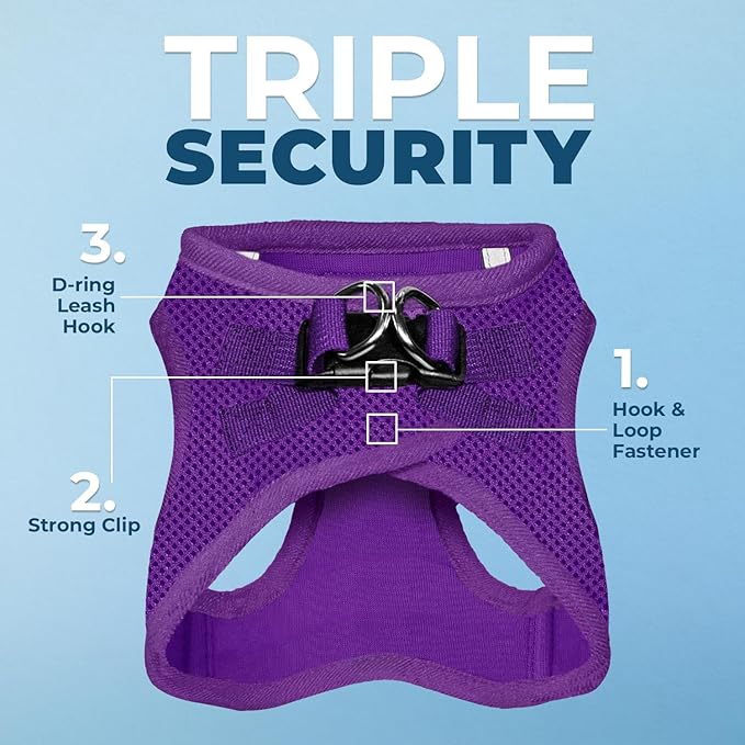 Best Pet Supplies Voyager Step-in Air All Weather Mesh Harness and Reflective Dog 5ft Leash Combo with Neoprene Handle, for Small, Medium and Large Breed Puppies - Set (Purple), X-Large