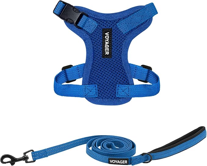 Best Pet Supplies Voyager Step-in Lock Pet Harness w Reflective Pet Leash Combo Set with Neoprene Handle 5ft - Supports Small, Medium and Large Breed Puppies/Cats - Royal Blue, XXXS