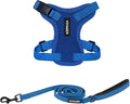 Best Pet Supplies Voyager Step-in Lock Pet Harness w Reflective Pet Leash Combo Set with Neoprene Handle 5ft - Supports Small, Medium and Large Breed Puppies/Cats - Royal Blue, XXS