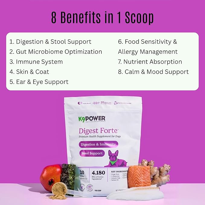 K9 Power Digest Forte – Advanced Digestive & Immune Support for Dogs – Probiotic, Prebiotic, Postbiotic Blend with Salmon Oil, Ginger, Kelp, Pomegranate, L-Glutamine – Gas, Stool, Eye & Gut Relief