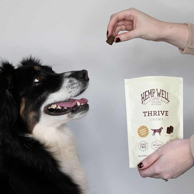 Hemp Well Thrive Chews for Dogs – Supports Healthy, Skin, Hip, Joint, and Heart Health, Promotes Immune Support, Fights Seasonal Allergies, Organically Sourced – 30 Count