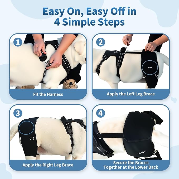 Dog Hip Brace for Hip Dysplasia & Arthritis - Adjustable Support Wrap with Removable Pads, Lifting Handle & Stabilizing Straps for Large Medium Dogs - Relief for Pain, Weakness & Lameness(L)