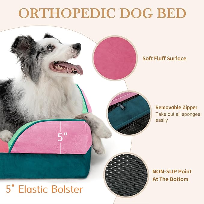 Comfort Expression Orthopedic Dog Bed for Large Dogs 36x27 Inch, Waterproof Egg Crate Foam Large Pet Bed with Removable Bolsters, Dog Couch with Washable Cover & Non-Slip Bottom, Mint-Berry Dream