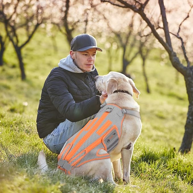 Dog Back Brace for Arthritis, Dog Hip Brace for IVDD, Frame Support Harness for Back，Keeps The Back Stable and Reduces Movements and Pains（L）
