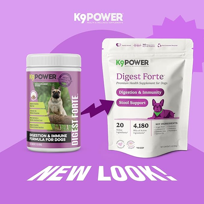 K9 Power Digest Forte – Advanced Digestive & Immune Support for Dogs – Probiotic, Prebiotic, Postbiotic Blend with Salmon Oil, Ginger, Kelp, Pomegranate, L-Glutamine – Gas, Stool, Eye & Gut Relief