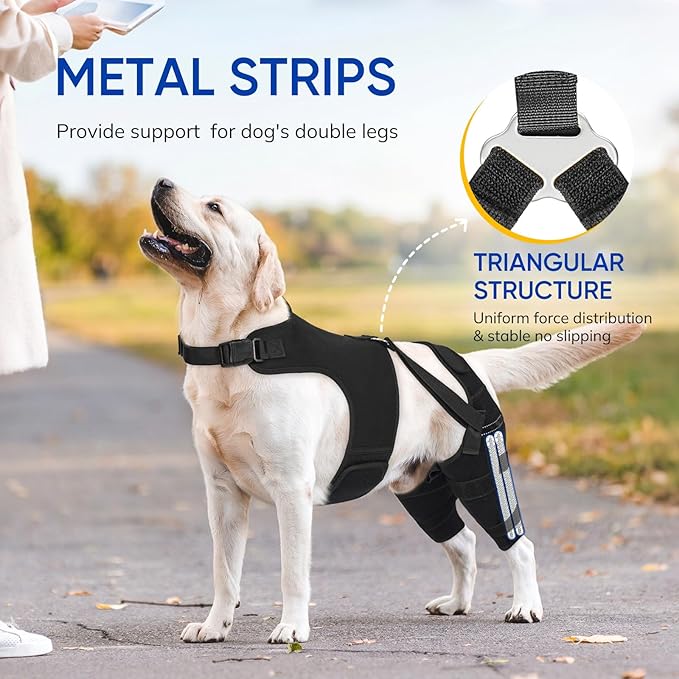 Dog Knee Brace Back Leg, Adjustable Dog Leg Brace with 4 Stabilizers, Hip Support to Reduces Pain, Ligament Injuries & Luxating Patella & ACL CCL for Small Medium Large Dogs (X-Small)