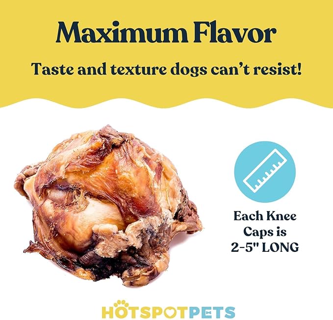 hotspot pets All Natural Beef Knee Caps for Dogs, Dog Bones, Single Ingredient Dog Chews for Aggressive Chewers - Long Lasting Rawhide Alternative Meat Bones