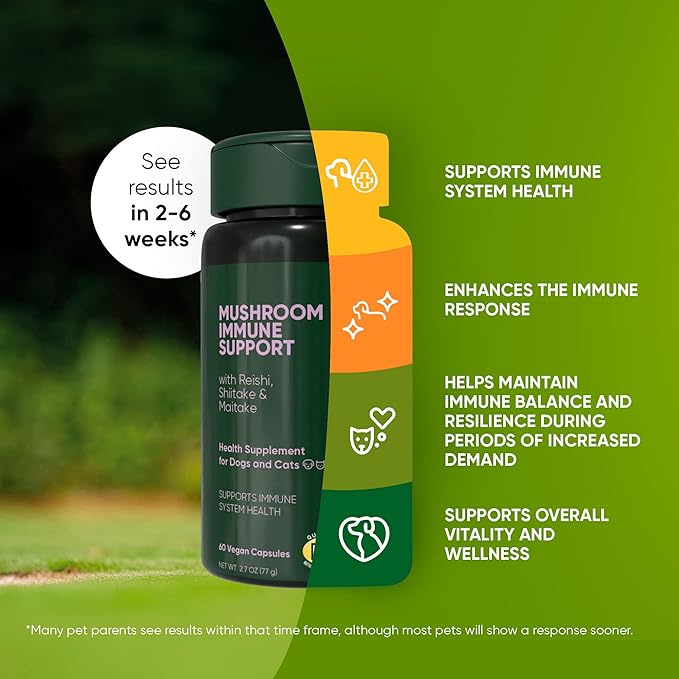 Rooted Owl Natural Immunity - Cat and Dog Immune Support - Triple Mushroom Supplement for Dogs & Cats with Reishi, Shiitake and Maitake Mushrooms - 60/ct Vegan Capsules