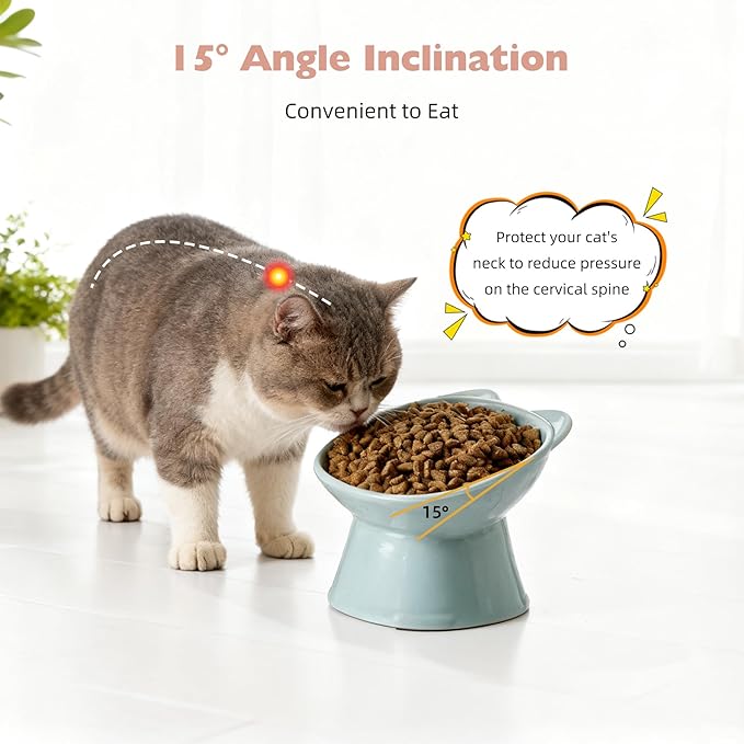 KSIA Klear Elevated Cat Bowls 2 Pack, Tilted Raised Cat Bowls for Indoor Cats, for Food and Water, 4.72" Wide, Whisker Friendly Anti Vomit for Indoor Cats, Microwave and Dishwasher Safe, Pink&Blue
