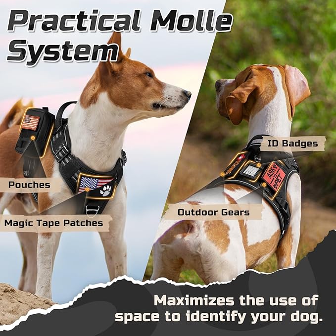 rabbitgoo Tactical Dog Harness for Small Dogs, No Pull Military Service Vest with Handle & Molle, Easy Control for Training Walking, Adjustable Reflective Straps, Black, S
