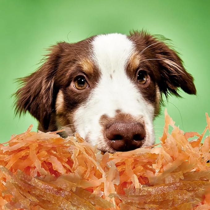 Oven Roasted Single Ingredient Treats for Dogs & Cats | Easy Chew (6.0 oz, Soft Chicken Shreds (Crystal))