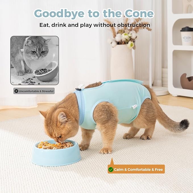 Avont Cat Recovery Suit for Surgery, Breathable Anti-Licking Onesie for Kittens, Surgical Post-Operative Protective Bodysuit, Comfortable Alternative to E-Collar -Mint (L)