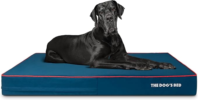 The Dog’s Bed Orthopedic Memory Foam Dog Bed for XXL Dogs, Waterproof Washable Cover, Anti-Slip Base, Calming Surface – CertiPUR-Certified Foam, Blue with Red Trim, 6 Inch Thick