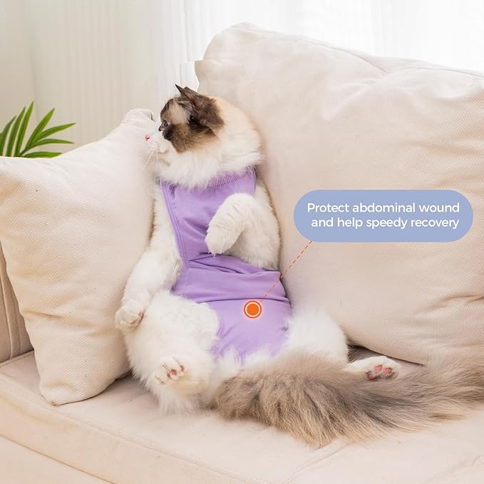 Avont Cat Recovery Suit Female Kitten After Spay Surgery, Breathable Modal Cotton Cat Onesie for Wound & Skin Disease Care, Machine Washable -Purple(L)