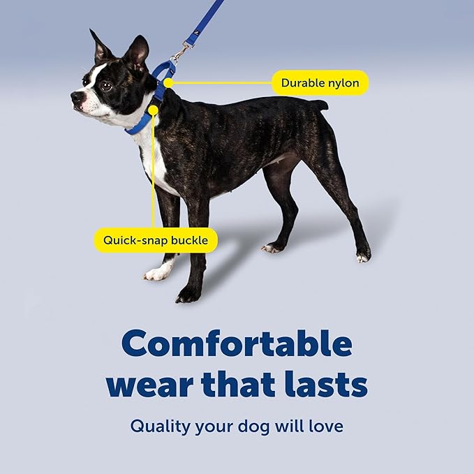 PetSafe Adjustable Martingale Collar - Improves Leash Manners - Escape Prevention - Gentle Behavior Training - Durable Nylon - Alternative to Choke Collar - Small 3/4" - Deep Purple