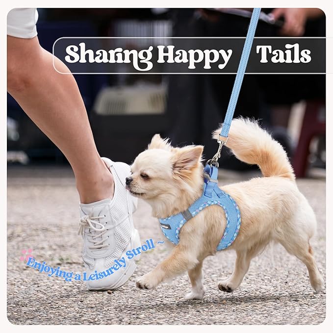 rabbitgoo Dog Harness Small Medium Sized and Leash Set, Step in Soft Light Puppy Vest, Breathable Mesh Pet Harness, Reflective for Safe Easy Walking, Blue & Plaid Trim L