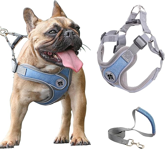 Medium Dog Harness and Leash Set,No Pull Adjustable Step in Soft Mesh Vest Harness,Easy Walk Reflective Pet Harness with Padded Handle for Walking Training Small Medium Large Dogs and Cats (Blue, M)