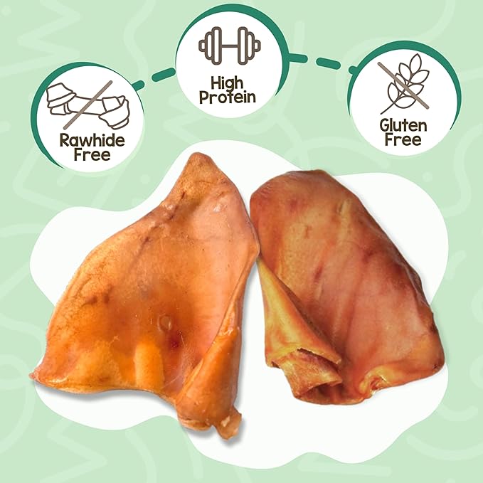 Nature Gnaws Pig Ears for Dogs (8 Count) - Thick Long Lasting for Aggressive Chewers and Large Dogs - Natural Pork Dog Chew Bones - Rawhide Free