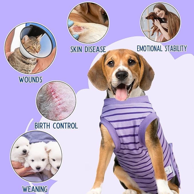 Dog Recovery Suit, Surgical Recovery Suit for Male Female Dogs Cats Spayed Onesie After Surgery, Dog Post Surgery Suit Anti Licking & Biting Surgical Shirt with Pee Hole，Purple X-Large